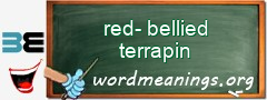 WordMeaning blackboard for red-bellied terrapin